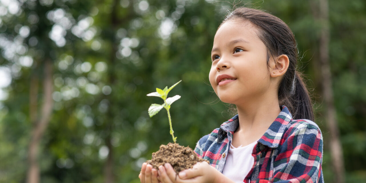 Você sabe qual é a relação entre climatização e meio ambiente?