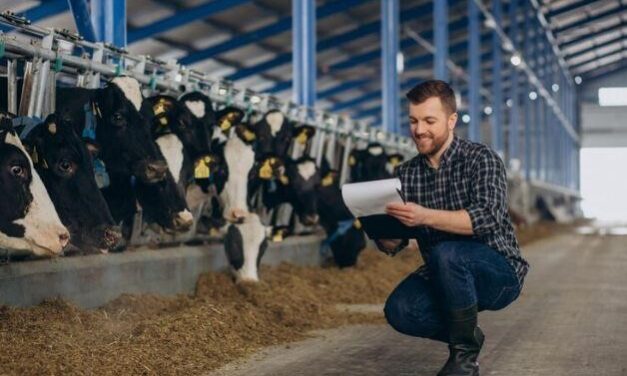 Climatizadores evaporativos: a solução ideal para pecuária e bem-estar animal