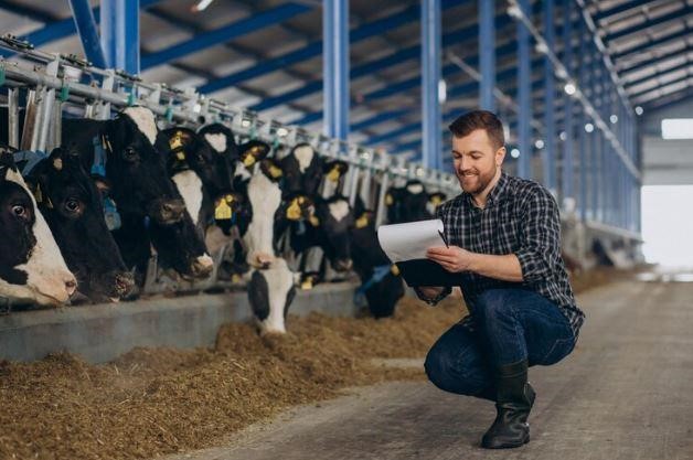 Climatizadores evaporativos: a solução ideal para pecuária e bem-estar animal